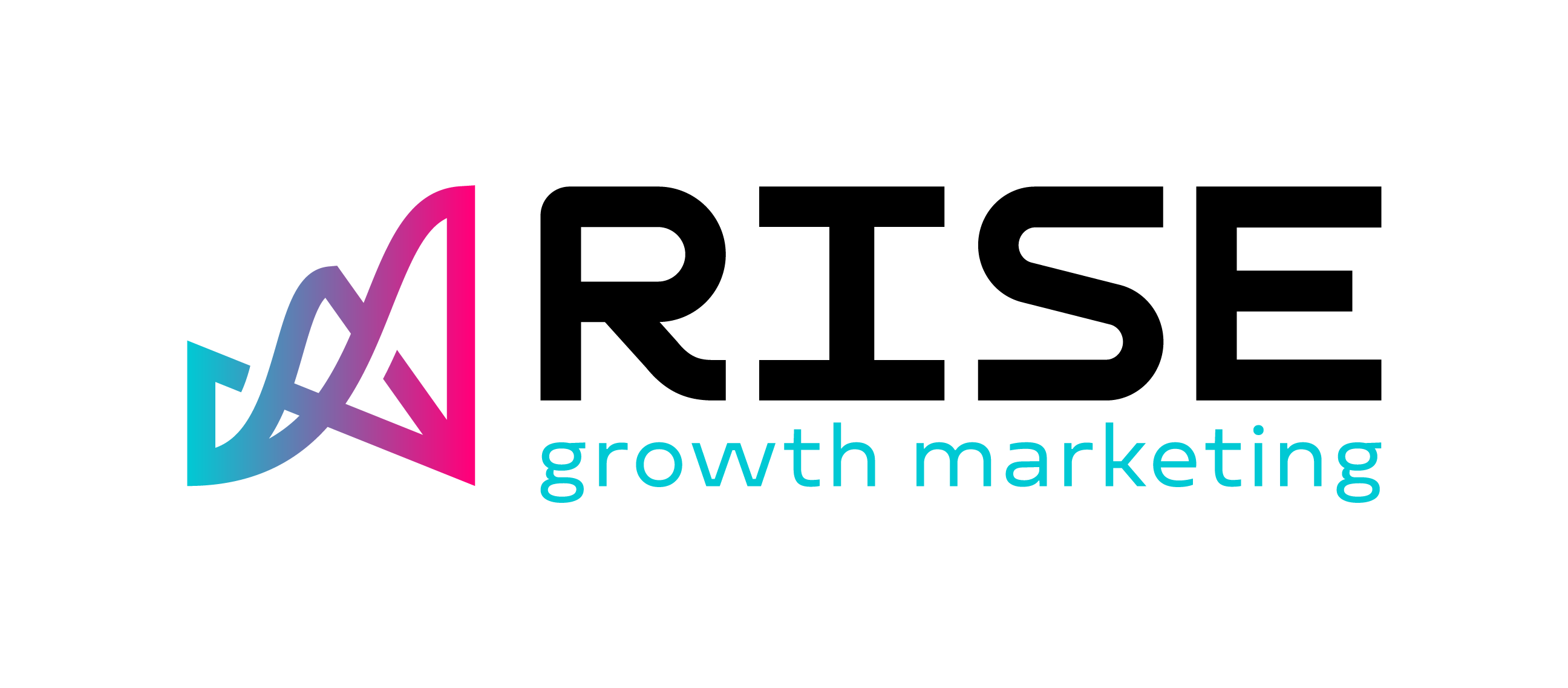 rise logo